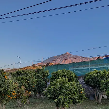 度假居 La Bodeguita *
