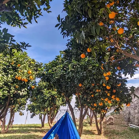 La Bodeguita Byfwtrealestate Casa vacanze Icod De Los Vinos