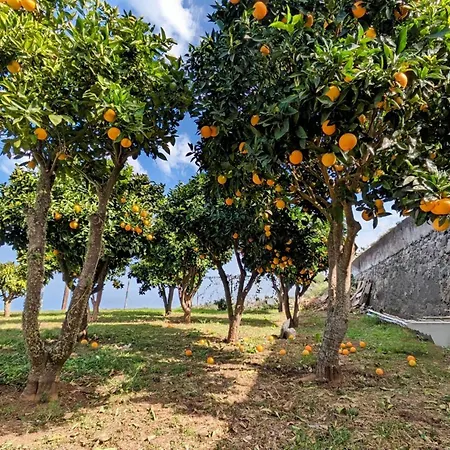 Casa vacanze La Bodeguita Byfwtrealestate