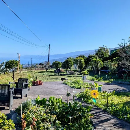 La Bodeguita Byfwtrealestate * Icod De Los Vinos